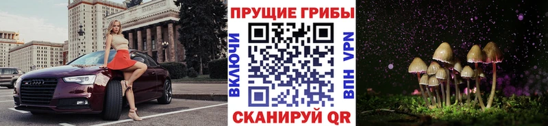 Псилоцибиновые грибы Psilocybe  Купить закладки  Подпорожье 
